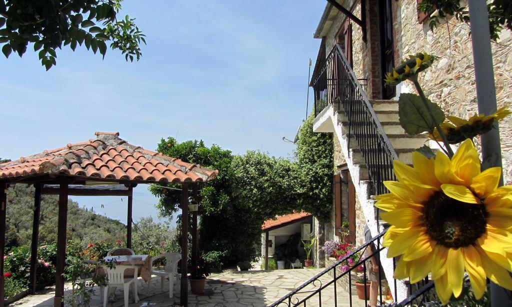 Tsorni Hill Cottage Λεφόκαστρο Εξωτερικό φωτογραφία
